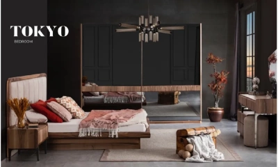 Шкаф-Купе Orix Tokyo