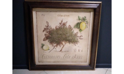 Картина Decor Toscana