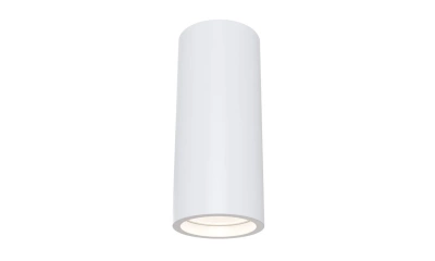 Потолочный Светильник Technical C004Cw-01W