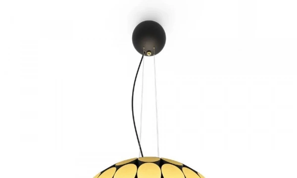 Люстра Delightfull Kravitz