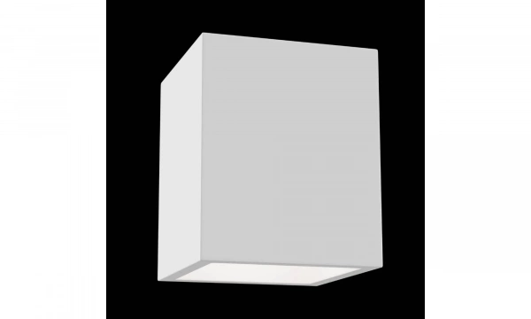 Потолочный Светильник Technical C002Cw-01W