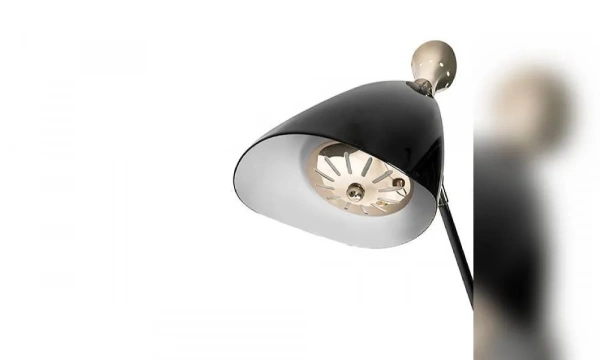 Торшер Delightfull Duke