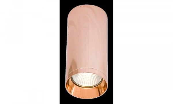 Потолочный Светильник Technical C010Cl-01Rg