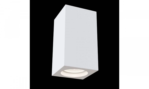 Потолочный Светильник Technical C005Cw-01W