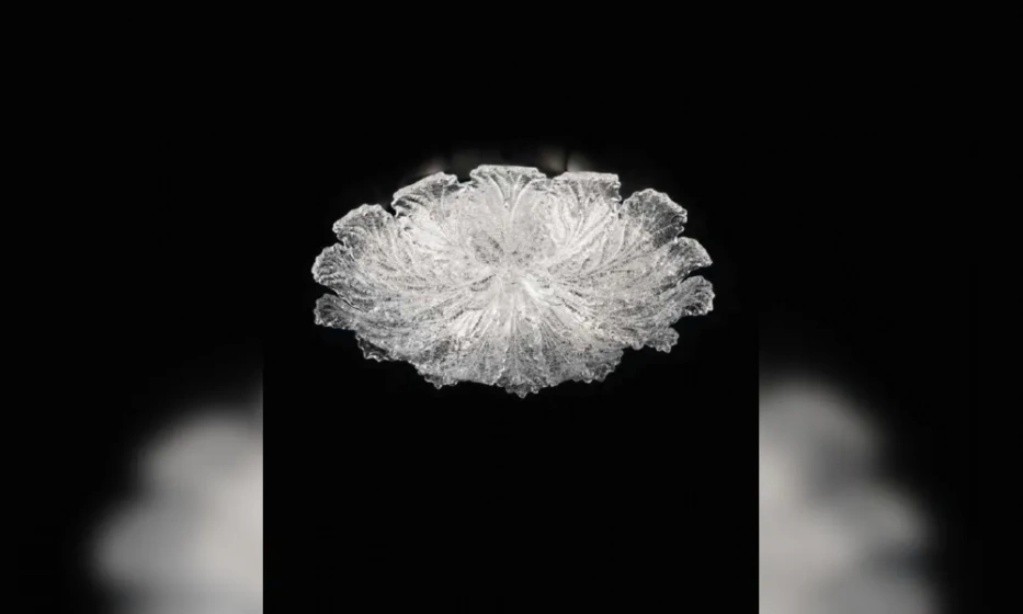 Люстра 918\60 - фото 1