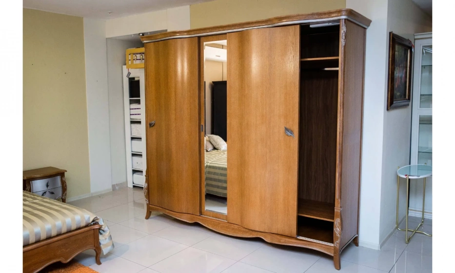 Шкаф-купе БЕЛФАН ТРИО - фото 5