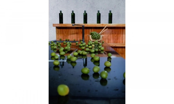 Кухня Virs New Line Olive