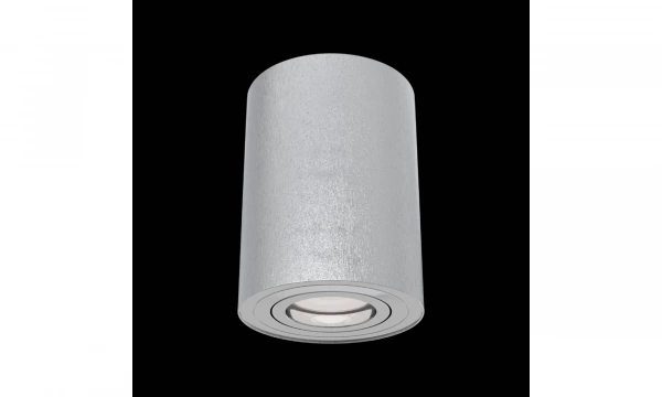 Потолочный Светильник Technical C016Cl-01S