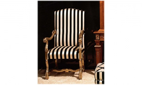 Домашний Кабинет Zanaboni №6